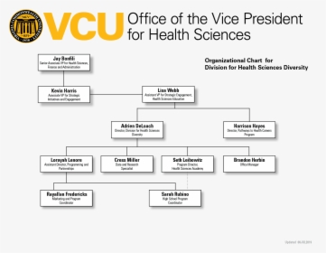 Vcu Health Organizational Chart, HD Png Download, Free Download