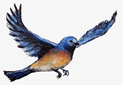 Transparent Watercolor Bird Png - European Swallow, Png Download, Free Download