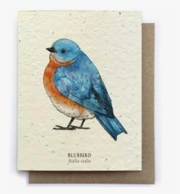 Bird Greeting Cards, HD Png Download, Free Download