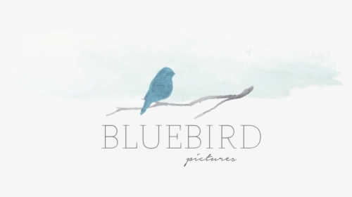 Bluebird Pictures // Bree Fowles Logo - Poster, HD Png Download, Free Download
