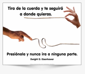 This Is The Spanish Version Of Poster Design - Dog, HD Png Download, Free Download