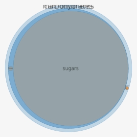 Circle, HD Png Download, Free Download
