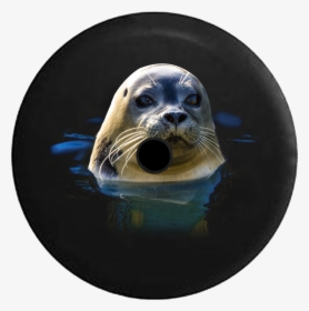 Transparent Sea Lion Png, Png Download, Free Download