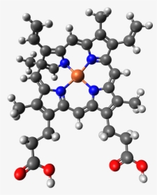 Grupo Hemo - Structure, HD Png Download, Free Download
