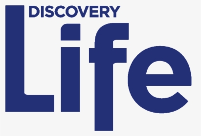 Discovery Logo Png, Transparent Png, Free Download