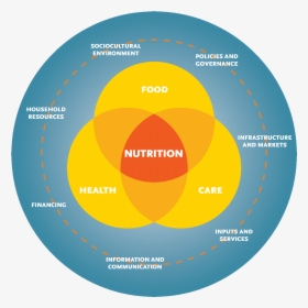 Systems Diagram - Nutrition Diagram, HD Png Download, Free Download