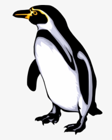 Svg Black And White Flightless Bird Waddles On Ice - Label Penguin Body Parts, HD Png Download, Free Download