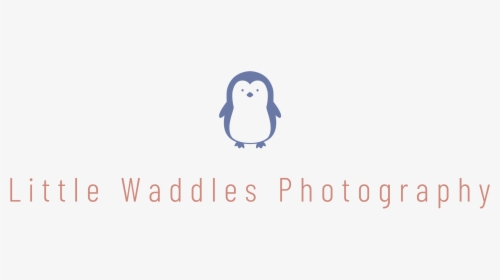 Untitled - Adã©lie Penguin, HD Png Download, Free Download