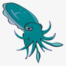 Cuttlefish Design, HD Png Download, Free Download