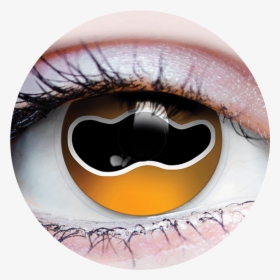 Primal® Cuttlefish"  Class= - Primal Costume Contact Lenses Yellow, HD Png Download, Free Download