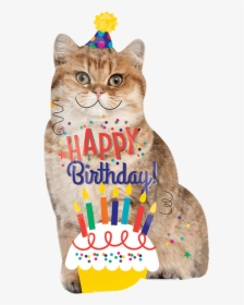 Birthday Cake Cat Kitten Balloon - Cat Birthday, HD Png Download, Free Download