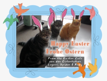 Happy Easter From The Easter Cats - Squitten, HD Png Download, Free Download