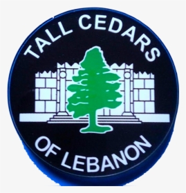 Acrylic Tall Cedar Of Lebanon Auto Emblem - Hydrocephalus, HD Png Download, Free Download