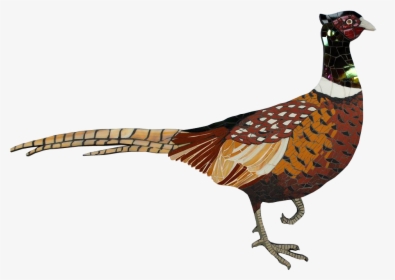 Transparent Pheasant Clipart - Ring-necked Pheasant, HD Png Download, Free Download