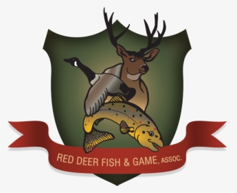 Club Programs Red Deer - Deer, HD Png Download, Free Download