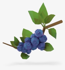 Lowbush Blueberries - Lowbush Blueberry Png, Transparent Png, Free Download