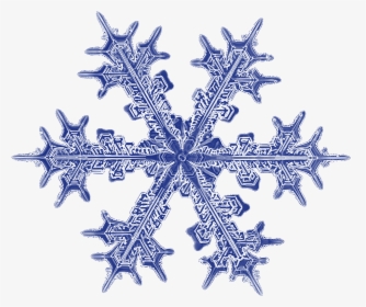 Snowflake // Here’s Another Realistic Snowflake - Realistic Snowflake Transparent Background, HD Png Download, Free Download