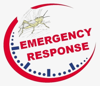 Timely Response Locust - Circle, HD Png Download, Free Download