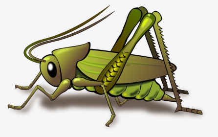 Clip Art Insect Papua New Guinea - Cricket Bug Cartoon, HD Png Download, Free Download