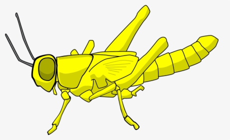 Locust Clip Art - Cartoon Locust, HD Png Download, Free Download