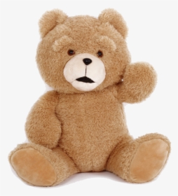 Transparent Teddy Bear Png, Png Download, Free Download