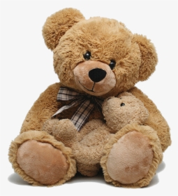Teddy Bear Png, Transparent Png, Free Download