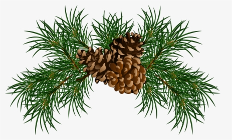 Pine Cliparts - Christmas Pine Cone Png, Transparent Png, Free Download
