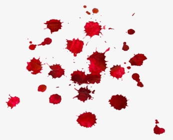 Blood Drop Red - Drop Of Blood Png, Transparent Png, Free Download