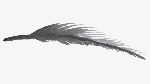 Transparent Feather Watercolor Png, Png Download, Free Download