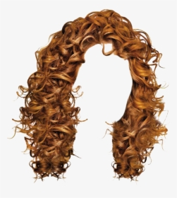 Transparent Women"s Hair Png - Transparent Curly Hair Png, Png Download, Free Download