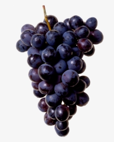 Black Grapes Png Image - Grapes On Transparent Background, Png Download, Free Download