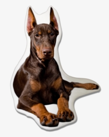 Doberman Pinscher Dog Pillow - Black And Ginger Dog, HD Png Download, Free Download