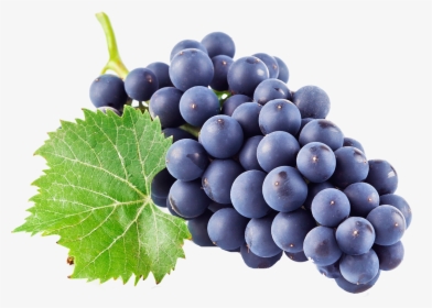 Grape Png Image & Grape Clip Art - Grape Transparent, Png Download, Free Download