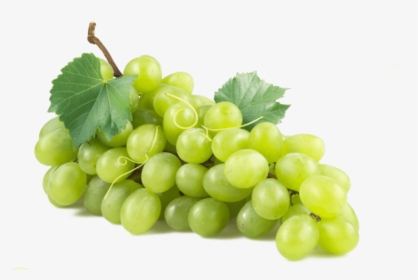 Free Png Green Grapes Png Png Images Transparent - Grape Png, Png Download, Free Download