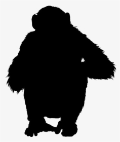 Sitting Monkey Png - Monkey Transparent, Png Download, Free Download