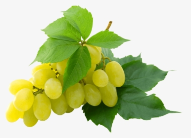 White Grape - Green Grapes Png, Transparent Png, Free Download