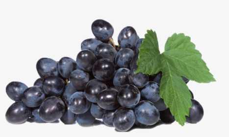 Black Grapes Png Image Download - Seedless Fruit, Transparent Png, Free Download