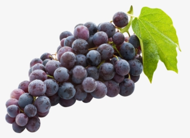 Grapes Black Seedless, HD Png Download, Free Download