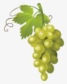 Grape Png Image - Vector Grapes Png, Transparent Png, Free Download