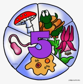 Transparent Science Clipart - Five Kingdoms Science, HD Png Download, Free Download