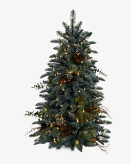 Christmas Tree Png Real, Transparent Png, Free Download