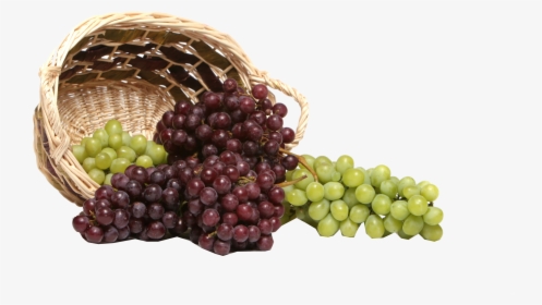 Grapes Scenery, HD Png Download, Free Download