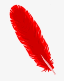 Red Logo Png Image Free Download - Red Feather No Background, Transparent Png, Free Download