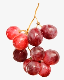 Red Wine Grape Fruit - Red Grapes Pic Png, Transparent Png, Free Download