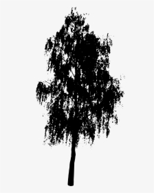 Transparent Birch Tree Png - Tree Vector Black Png, Png Download, Free Download