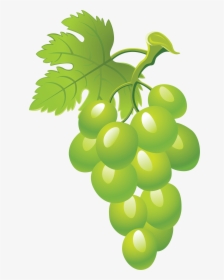 Grape Clipart Sona - Transparent Background Green Grapes Clipart, HD Png Download, Free Download