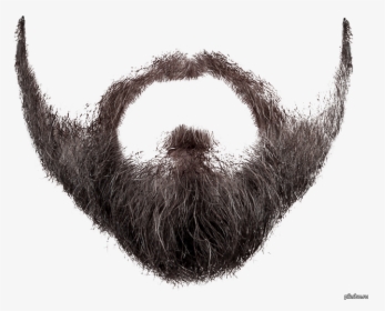 Transparent Realistic Mustache Png - Beard Transparent Png, Png Download, Free Download