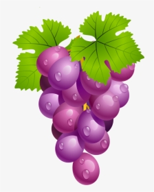 Grapes Clipart, HD Png Download, Free Download