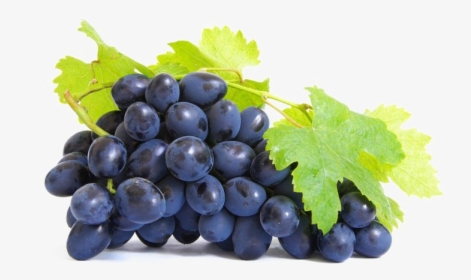 Grapes Seed Extract, HD Png Download, Free Download