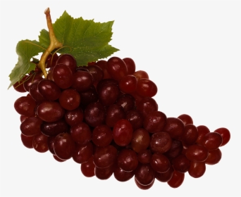 Red Grapes Png, Transparent Png, Free Download